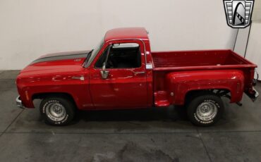 Chevrolet-Silverado-1500-Pickup-1976-9