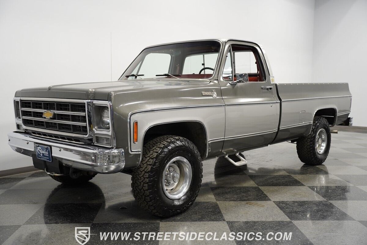 Chevrolet-Silverado-1500-Pickup-1979-5