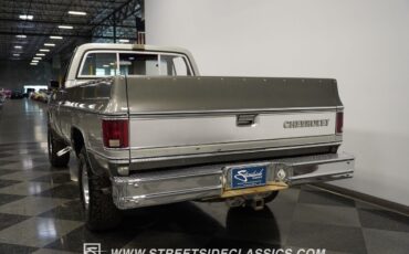 Chevrolet-Silverado-1500-Pickup-1979-8