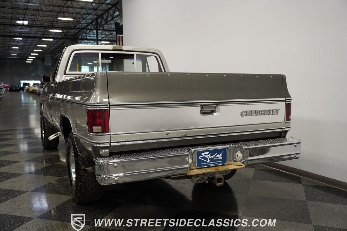 Chevrolet-Silverado-1500-Pickup-1979-8