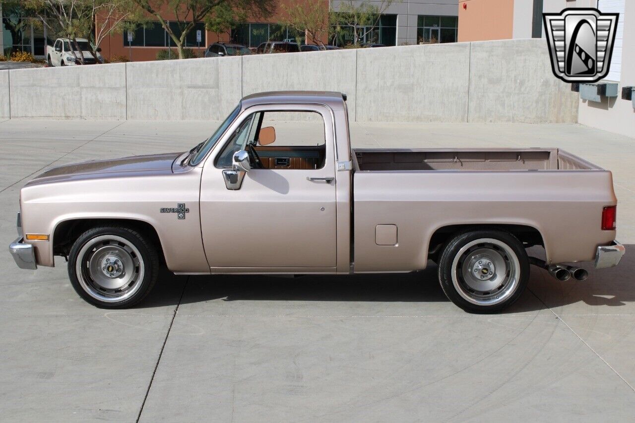 Chevrolet-Silverado-1500-Pickup-1981-10