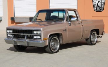 Chevrolet-Silverado-1500-Pickup-1981-2