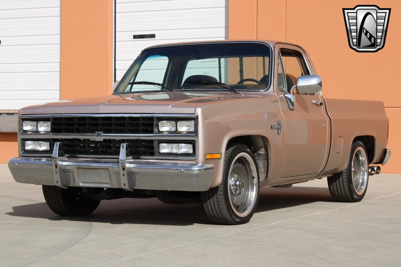 Chevrolet-Silverado-1500-Pickup-1981-3