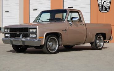 Chevrolet-Silverado-1500-Pickup-1981-4