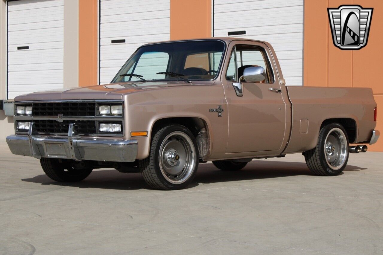 Chevrolet-Silverado-1500-Pickup-1981-4