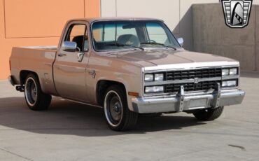 Chevrolet-Silverado-1500-Pickup-1981-5