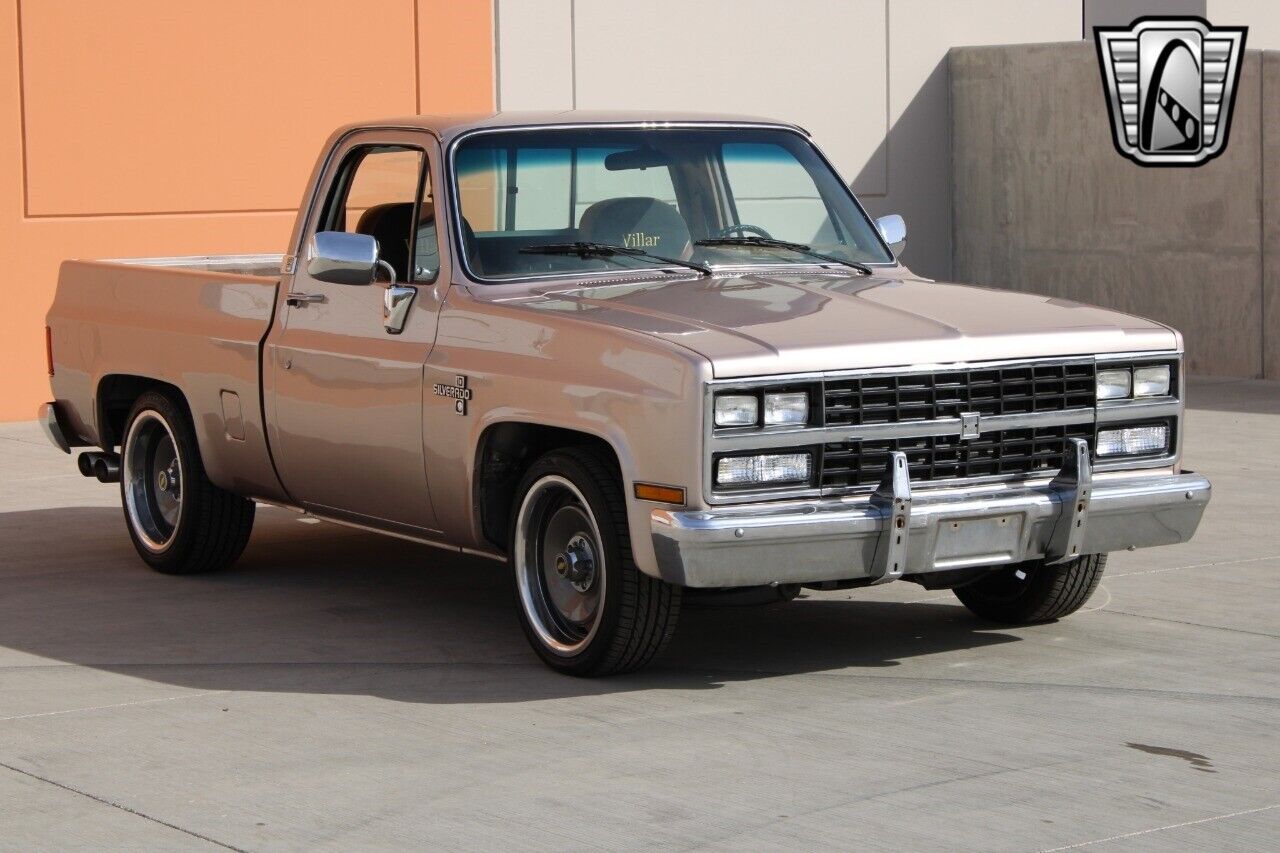 Chevrolet-Silverado-1500-Pickup-1981-5