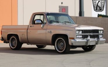 Chevrolet-Silverado-1500-Pickup-1981-6