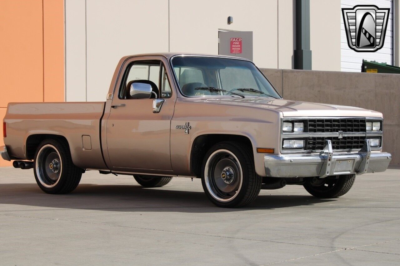 Chevrolet-Silverado-1500-Pickup-1981-6