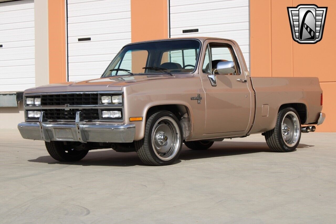 Chevrolet-Silverado-1500-Pickup-1981-7