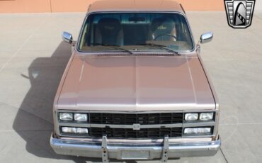 Chevrolet-Silverado-1500-Pickup-1981-8