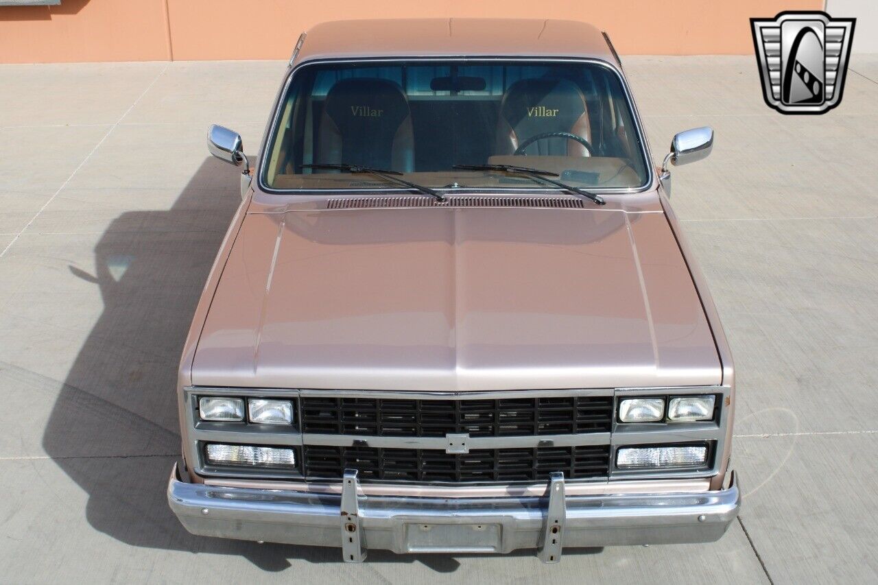 Chevrolet-Silverado-1500-Pickup-1981-8