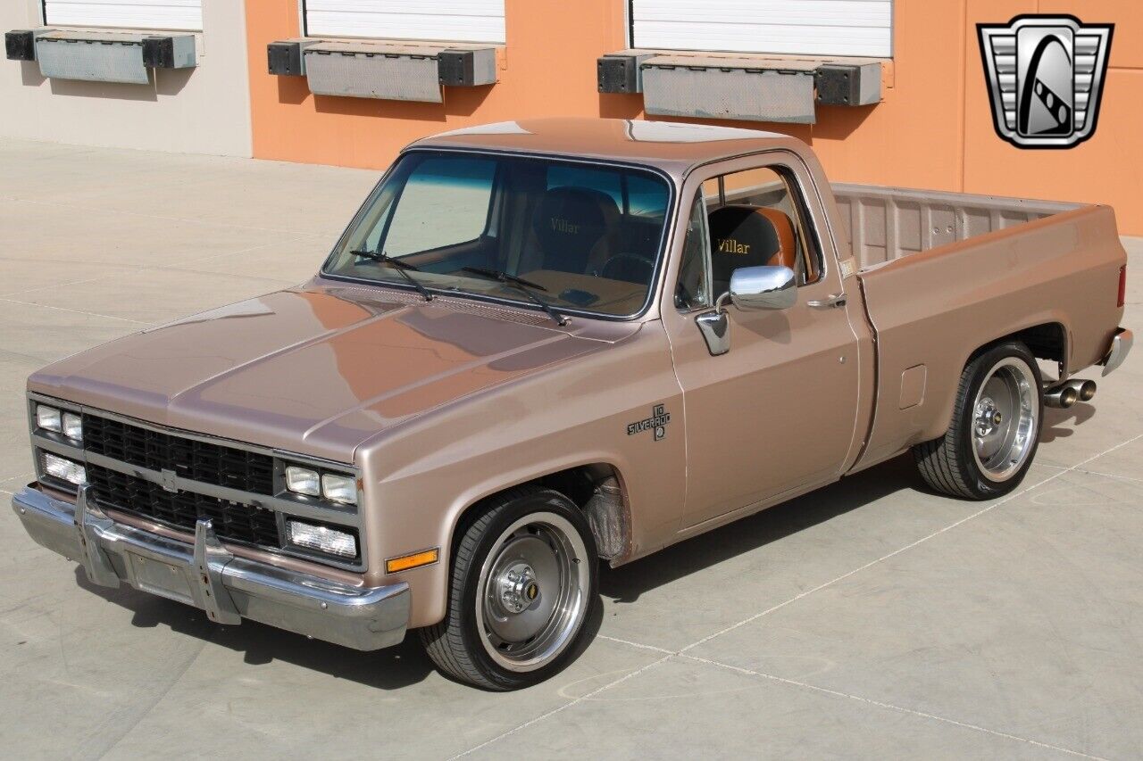 Chevrolet-Silverado-1500-Pickup-1981-9