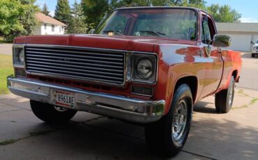 Chevrolet-Silverado-1976-10