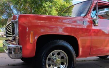 Chevrolet-Silverado-1976-20