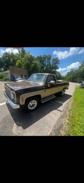 Chevrolet-Silverado-1978-15