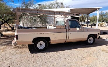 Chevrolet-Silverado-1978-2