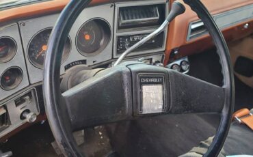 Chevrolet-Silverado-1978-orange-321868-1