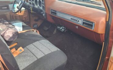 Chevrolet-Silverado-1978-orange-321868-3