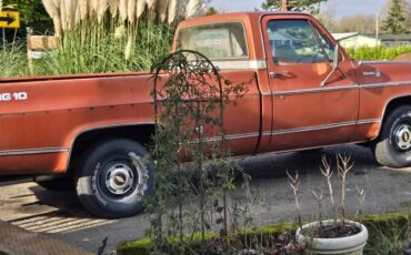 Chevrolet-Silverado-1978-orange-321868