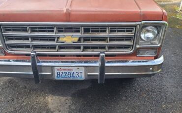 Chevrolet-Silverado-1978-orange-321868-4