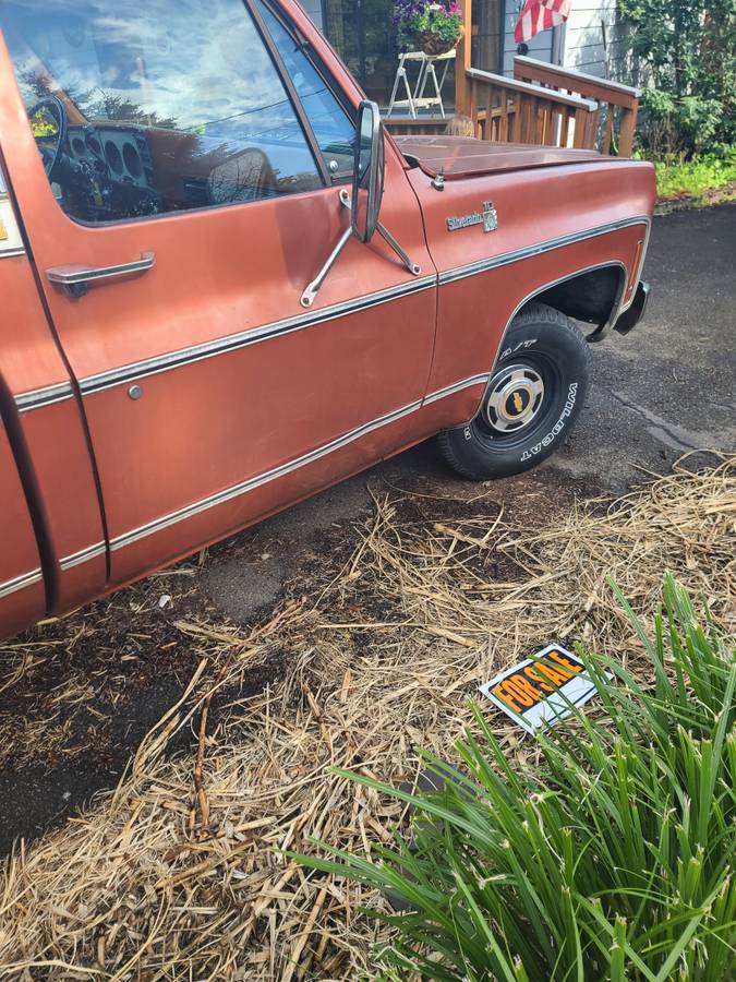 Chevrolet-Silverado-1978-orange-321868-5