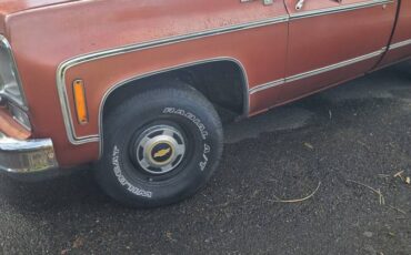 Chevrolet-Silverado-1978-orange-321868-7