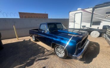 Chevrolet-Silverado-1980-1609-2