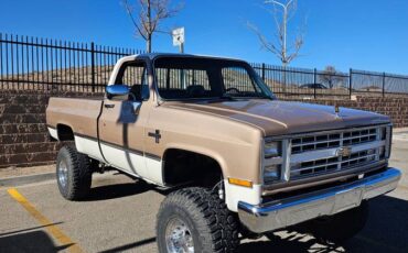 Chevrolet-Silverado-1985-custom-209214-15