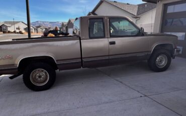 Chevrolet-Silverado-1994-brown-368539