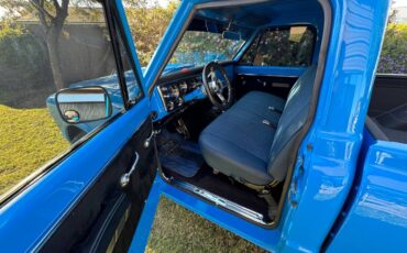 Chevrolet-Truck-1967-blue-8047