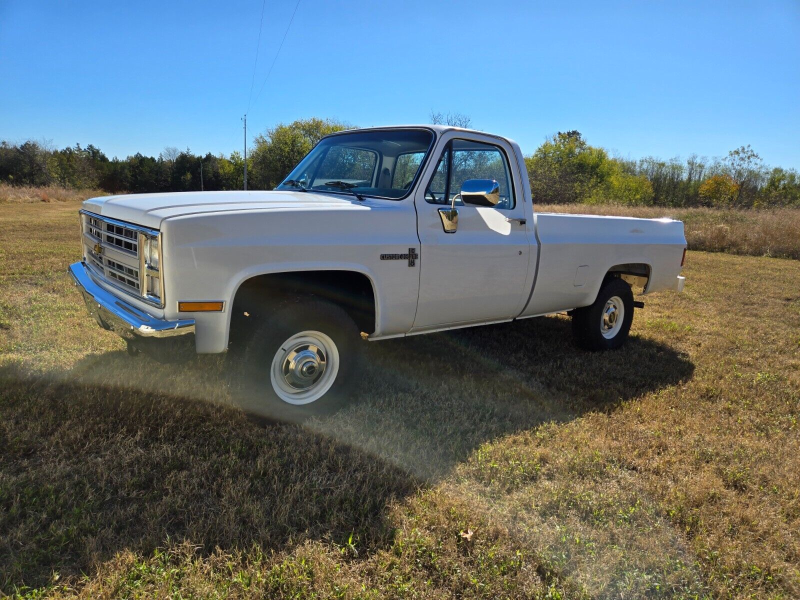 Chevrolet-V10-1987-3