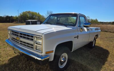 Chevrolet V10  1987 à vendre