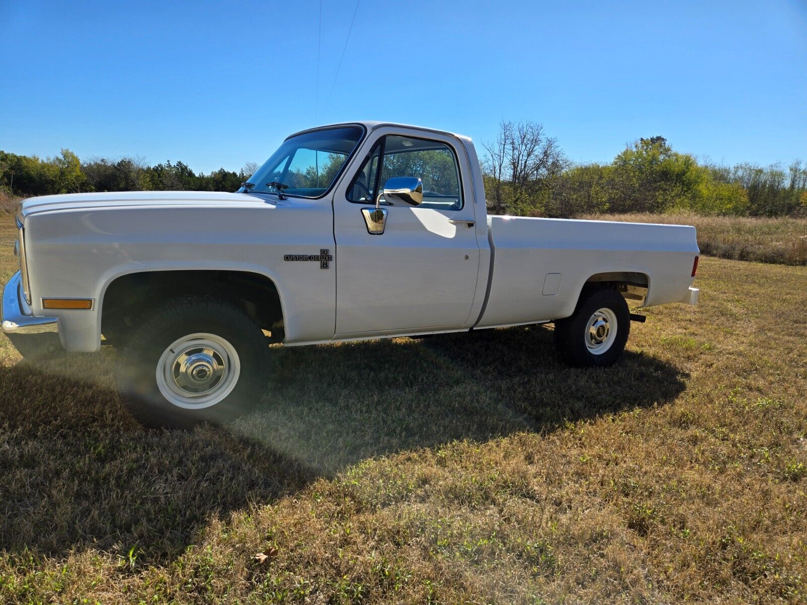 Chevrolet-V10-1987-9