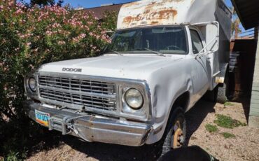 Dodge-1980-white-160934-13