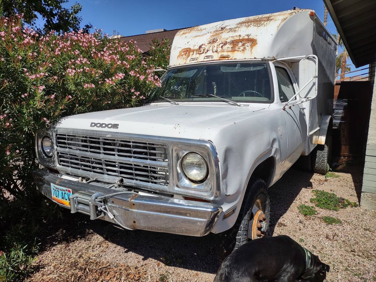 Dodge-1980-white-160934-13