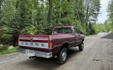 Dodge-250-diesel-1992-482802-3