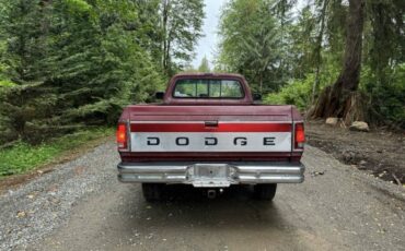 Dodge-250-diesel-1992-482802-4