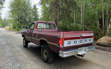 Dodge-250-diesel-1992-482802-5