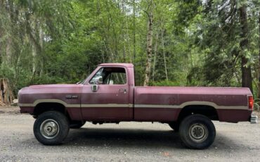 Dodge-250-diesel-1992-482802-6