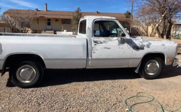 Dodge-2500-diesel-1991-white-43452-1