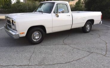 Dodge-D-series-1992-white-61808-1