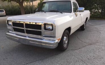 Dodge-D-series-1992-white-61808-2