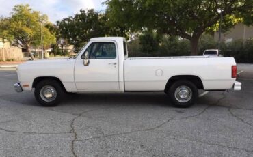 Dodge-D-series-1992-white-61808