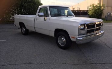 Dodge-D-series-1992-white-61808-4