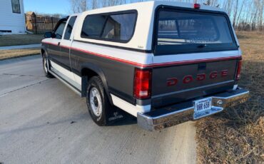 Dodge-Dakota-1993-3