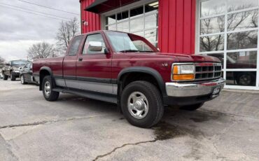 Dodge-Dakota-1995-211512-1