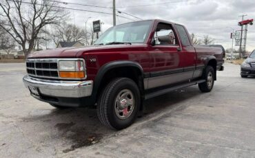 Dodge-Dakota-1995-211512-3