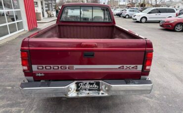 Dodge-Dakota-1995-211512-5