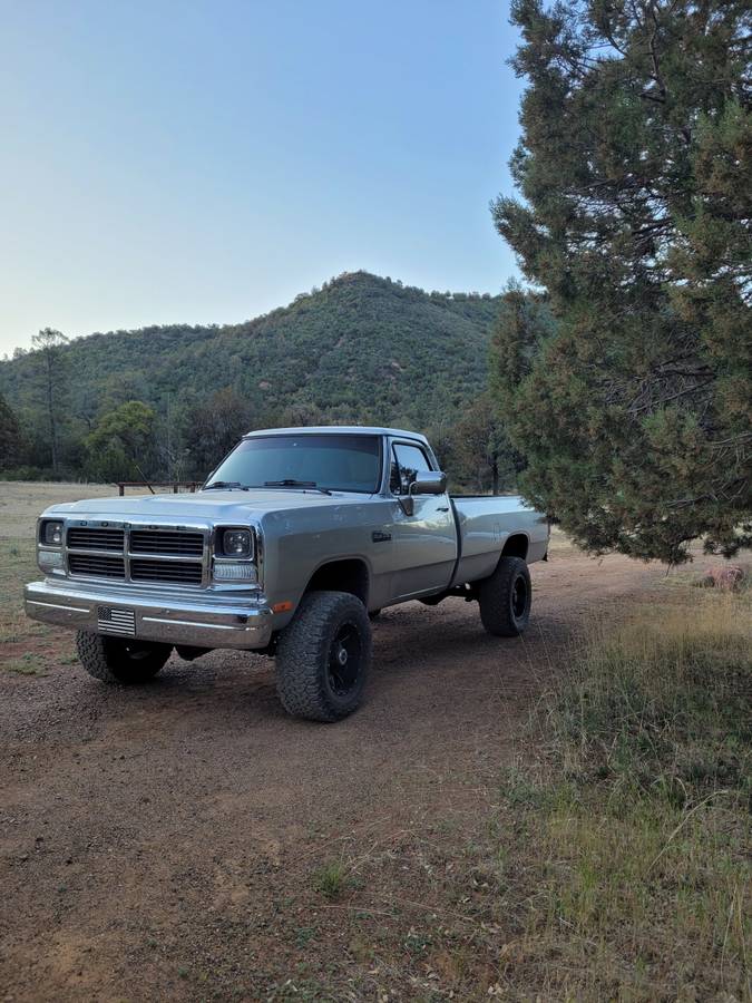 Dodge-Diesel-1992-silver-273266-1